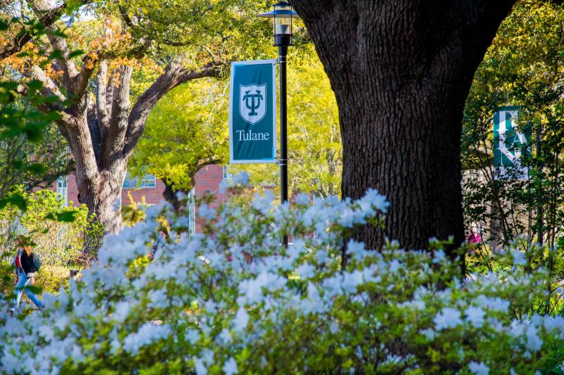 LLM in Energy & the Environment tulane